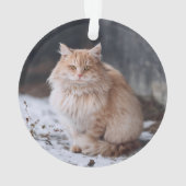 Red Pet Persoonlijke foto Meowy Kerstmis Ornament (achterkant)