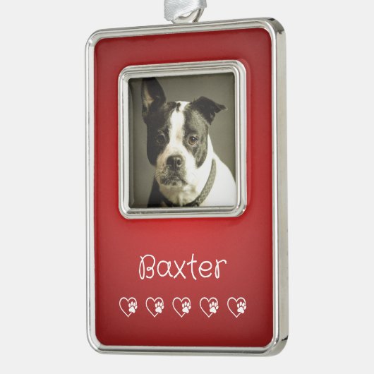 Red Pet Photo Ornament - Custom Photo (Links)