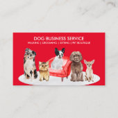 Red Pet Sitter Dogs ondervoorzitter Thuishotel Visitekaartje (Voorkant)