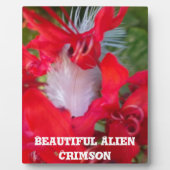 Red Petal Feather Art Print Fotoplaat (Voorkant)