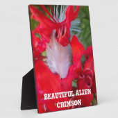 Red Petal Feather Art Print Fotoplaat (Zijkant)