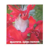 Red Petal Feather Art Print Notitieblok (Voorkant)