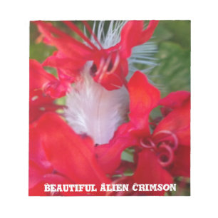 Red Petal Feather Art Print Notitieblok