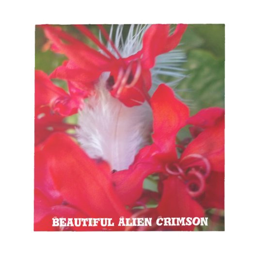 Red Petal Feather Art Print Notitieblok (Voorkant)