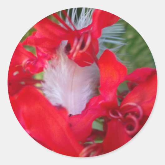 Red Petal Feather Art Print Ronde Sticker (Voorkant)