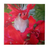 Red Petal Feather Art Print Tegeltje (Voorkant)