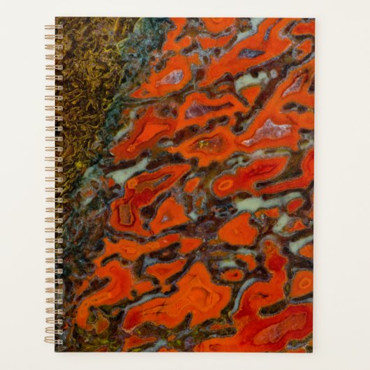 Red Petrified Dinosaur Bone Planner (Voorkant)