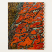 Red Petrified Dinosaur Bone Planner (Achterkant)