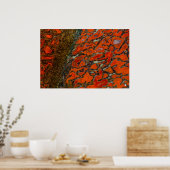 Red Petrified Dinosaur Bone Poster (Keuken)