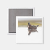 Red Phalarope 2x2 magnet (Voorkant / Achterkant)