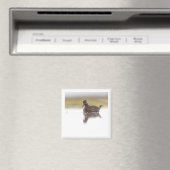 Red Phalarope 2x2 magnet (Insitu (Vaatwasser))