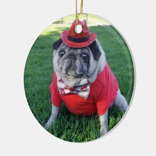 Red Pickles Ornament (Links)