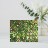Red Pie Cherries Briefkaart (Staand voorkant)