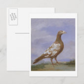 Red Pied Carrier Briefkaart (Voorkant / Achterkant)