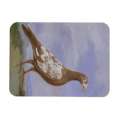 Red Pied Carrier Magneet (Horizontaal)