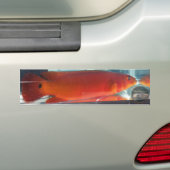 Red Pike Cichlid Bumpersticker (Op auto)
