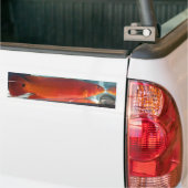Red Pike Cichlid Bumpersticker (Op Truck)