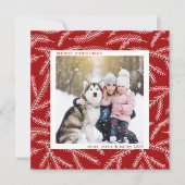 Red | Pine Branch-kerstfotovierkant Feestdagenkaart (Voorkant)