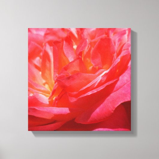 Red Pink Canvas prints Rozen Flowers (Voorkant)