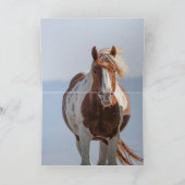 Red Pinto Stallion Leaps Wild Horse Wenskaart Kaart (Binnen)