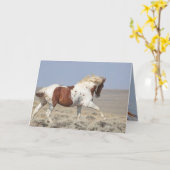 Red Pinto Stallion Leaps Wild Horse Wenskaart Kaart (Gele Bloem)