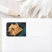 Red Pitbull Dog Etiket (Insitu)