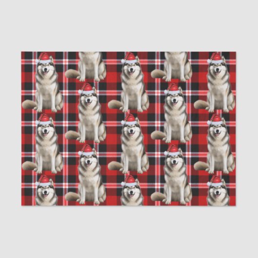 Red Plaid Alaskan Malamute Dog Kerstvakantie Tissuepapier (Voorkant)