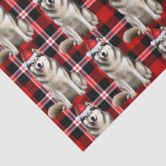 Red Plaid Alaskan Malamute Dog Kerstvakantie Tissuepapier (Detail)