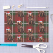 Red Plaid Boykin Spaniel Hondenliefhebber Vakantie Tissuepapier (Craft)