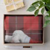 Red Plaid Christmas Coton de Tulear Dog Tissuepapier (Geschenk)