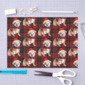 Red Plaid en Engelse Bulldog Kerstmis Tissuepapier (Craft)