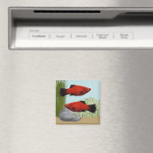 Red Platies Tropical Fish Nature Aquarium Magnet (Insitu (Vaatwasser))