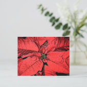 Red Poinsettia Briefkaart (Staand voorkant)