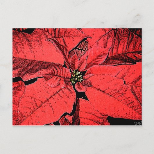 Red Poinsettia Briefkaart (Voorkant)
