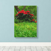 Red Poinsettia Canvas Afdruk (Insitu (Houten vloer))