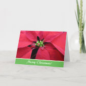 Red Poinsettia Christmas Wenskaart Feestdagen Kaart (Voorkant)