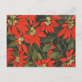 Red Poinsettia Feestdagenkaart (Voorkant)