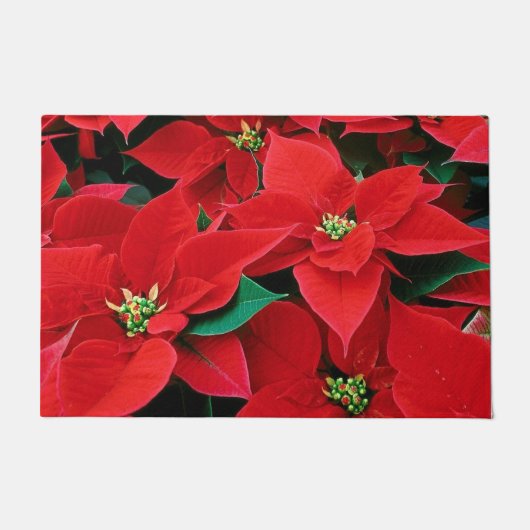 Red Poinsettia Holiday Deurmat (Voorkant)