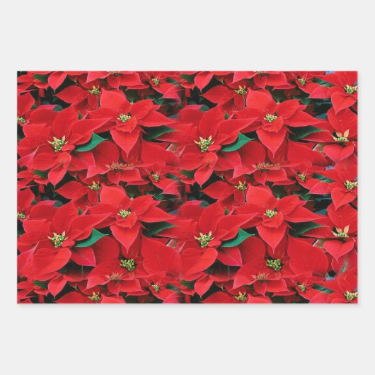 Red Poinsettia Holiday Inpakpapier Vel (Voorkant)
