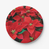 Red Poinsettia Holiday Papieren Bordje (Voorkant)