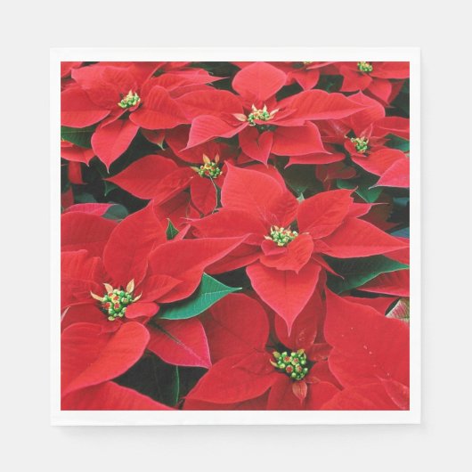 Red Poinsettia Holiday Servet (Voorkant)