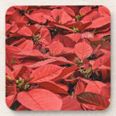 Red Poinsettia kerst Bier Onderzetter (Voorkant)