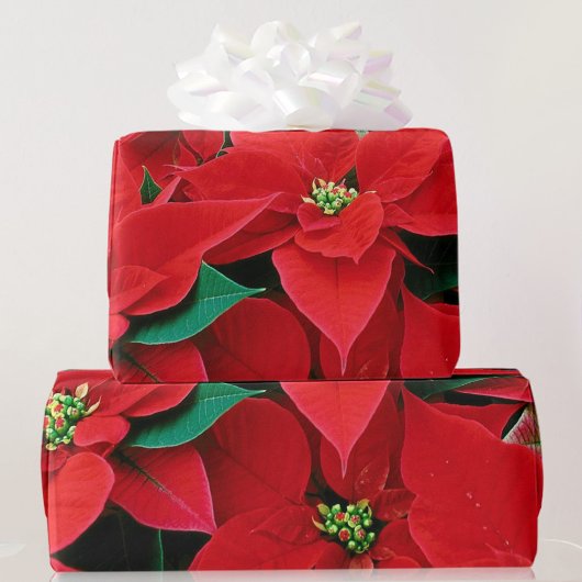 Red Poinsettia kerstcadeaupapier voor kerstcadeaut Cadeaupapier