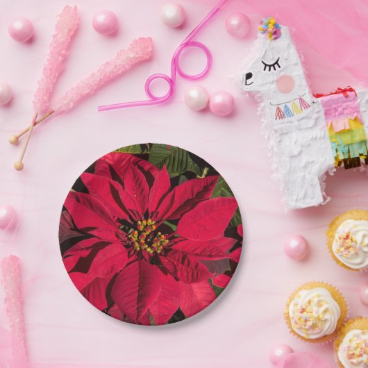 Red Poinsettia kerstfeest Papieren Bordje (Feest)