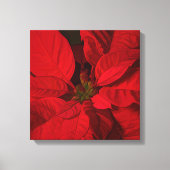 Red Poinsettia kerstFeestdagen Canvas Afdruk (Voorkant)