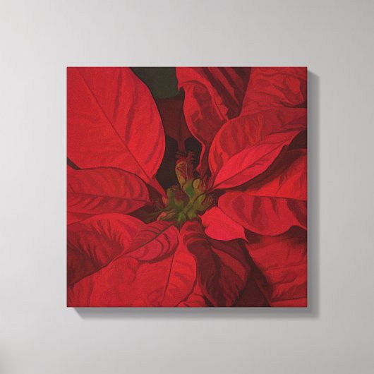 Red Poinsettia kerstFeestdagen Canvas Afdruk (Voorkant)
