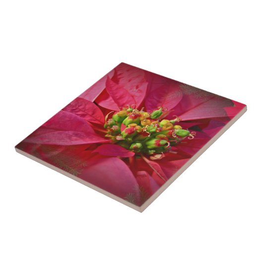 Red Poinsettia - Kerstmis Tegeltje (Zijkant)