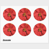 Red Poinsettia Ronde Sticker (Vel)