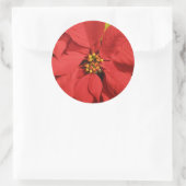 Red Poinsettia Ronde Sticker (Tas)