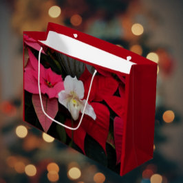 Red Poinsettias en Lady Slipper Orchid Vakantie Groot Cadeauzakje